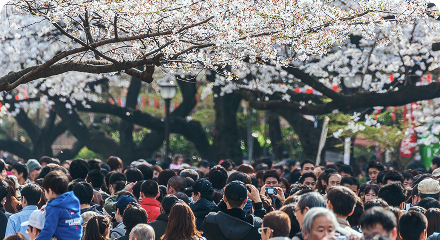 주요관광지 방문객 수 집계
