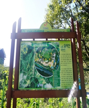 홍성군 오서산상담주차장