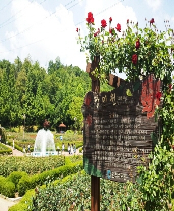 인천대공원 장미원