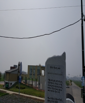 서천군 신성리갈대밭