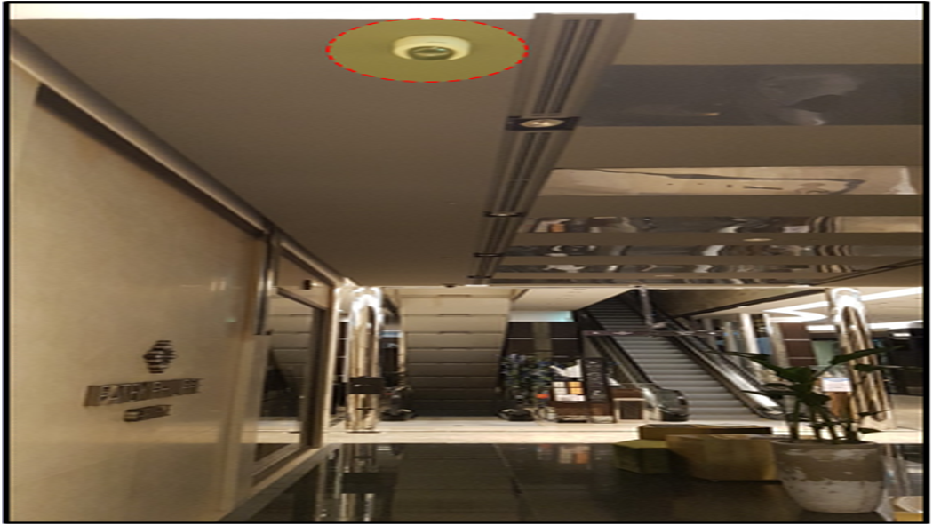 크기변환_에비뉴엘 2.png