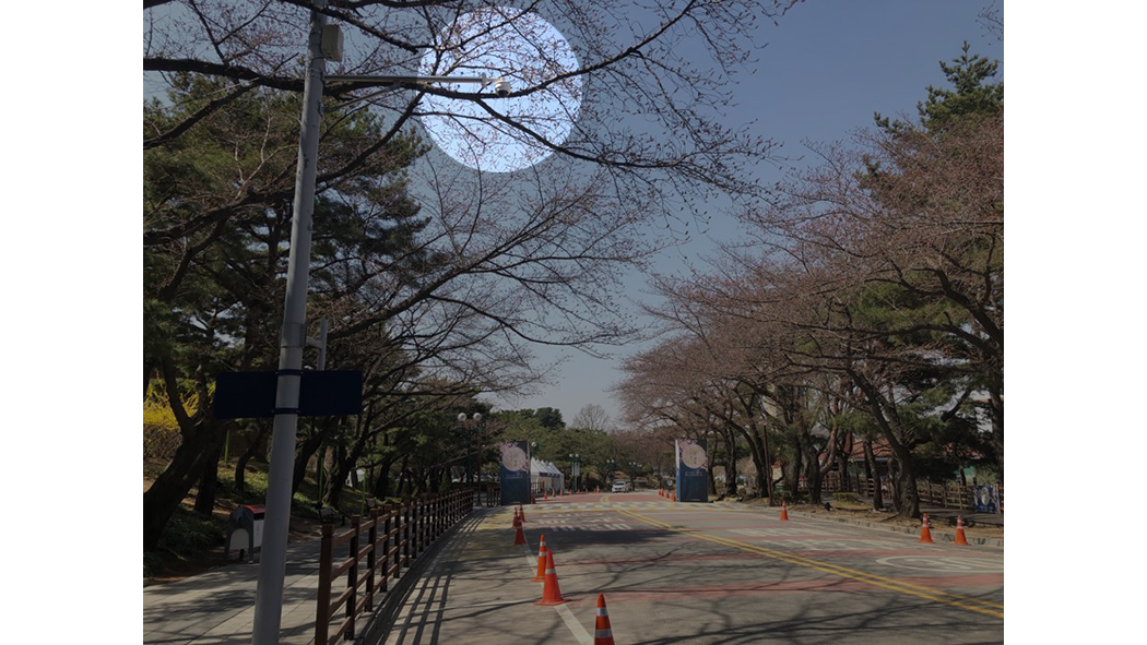 경마공원역 벚꽃축제 피플카운팅 201.jpg