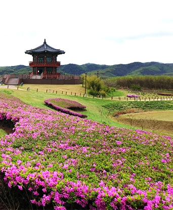 의성 조문국사적지