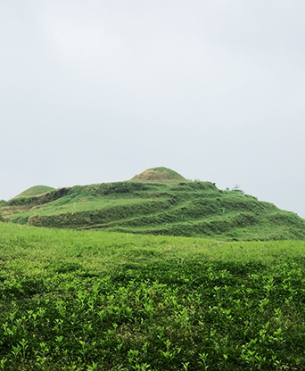 함안 말이산 고분군 진입로
