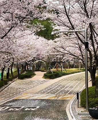 포항 중명자연생태공원