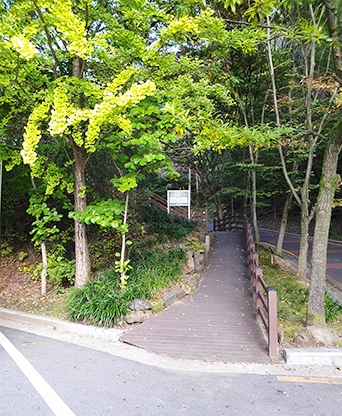 대전 만인산자연휴양림