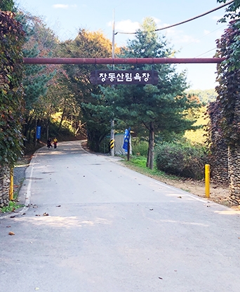 대전 장동산림욕장