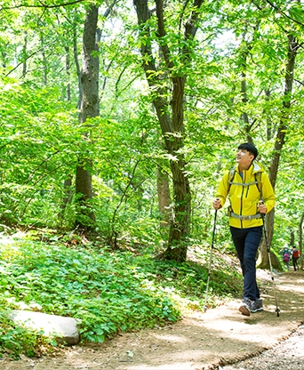 함안 여항산 등산로