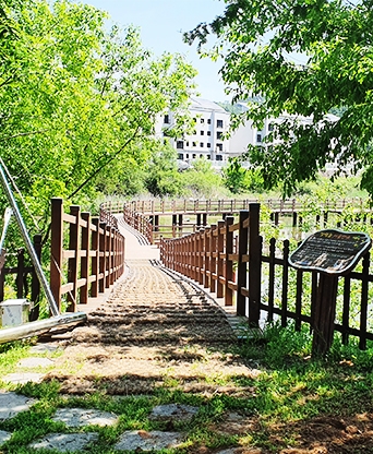 합천 정양늪 생태공원