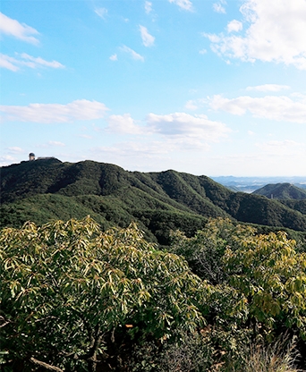 안산 수리산 공영주차장