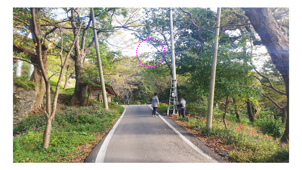 서산 부석사 01.jpg