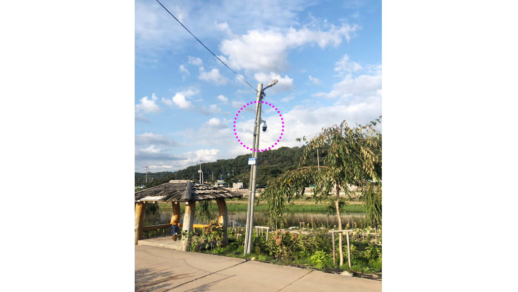 유구 색동수국정원 01.jpg