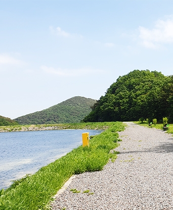 함안 봉성저수지 둘레길
