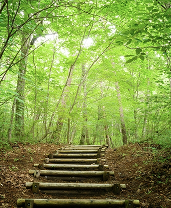 청주 미동산수목원