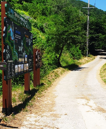 성주군 성주호 둘레길