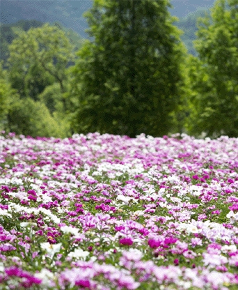 합천 핫들생태공원