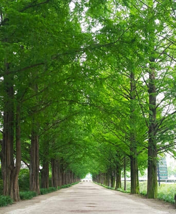 경기 양평군 물소리길 7코스