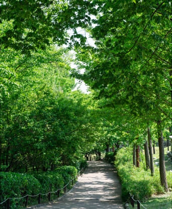 경기 양평군 물소리길 9코스