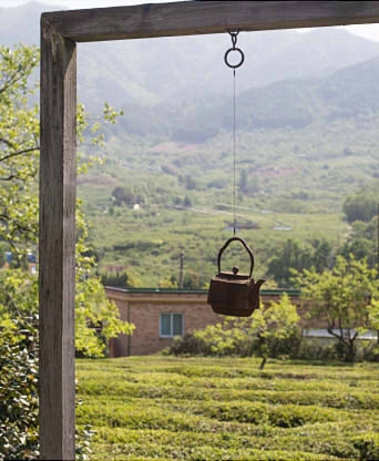 보성 차문화공원