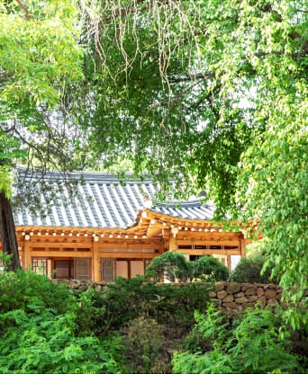 옥천 화인산림욕장