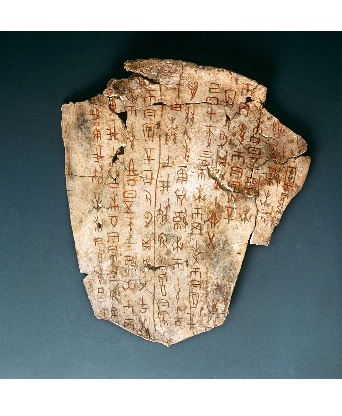 국립세계문자박물관