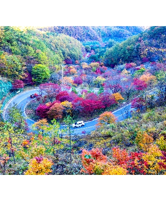 단양 보발재 입구