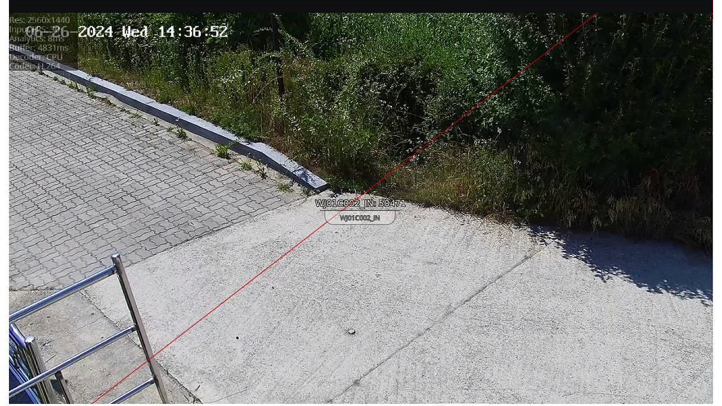 카메라 뷰어 사진.jpg