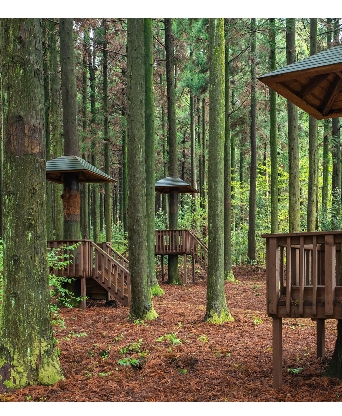 완주 편백나무숲길입구