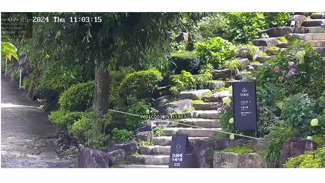 카메라 뷰어사진.jpg