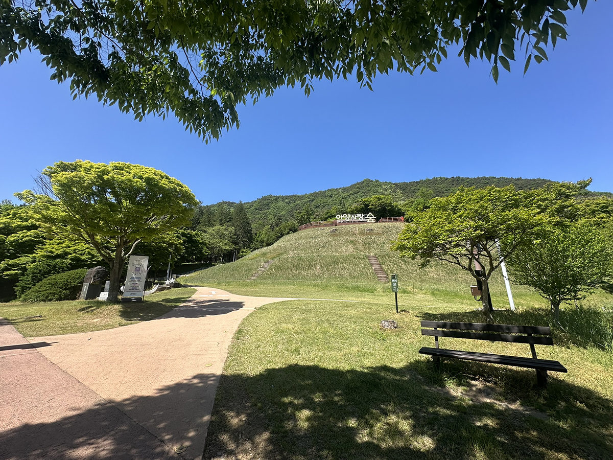 정읍시_달빛사랑숲2.jpg