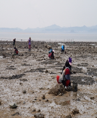 안산시 대부도해솔길(어촌체험마을)