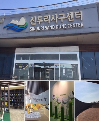 태안군 사구센터