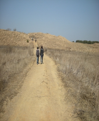 태안군 해안사구입구